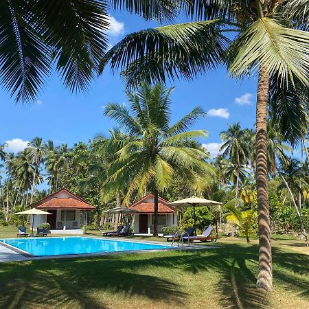 Ambarella Lodge - Katunayake Hunumulla Exterior photo