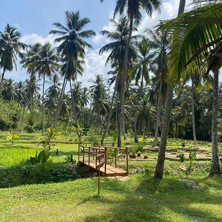 Ambarella Lodge - Katunayake Hunumulla Exterior photo
