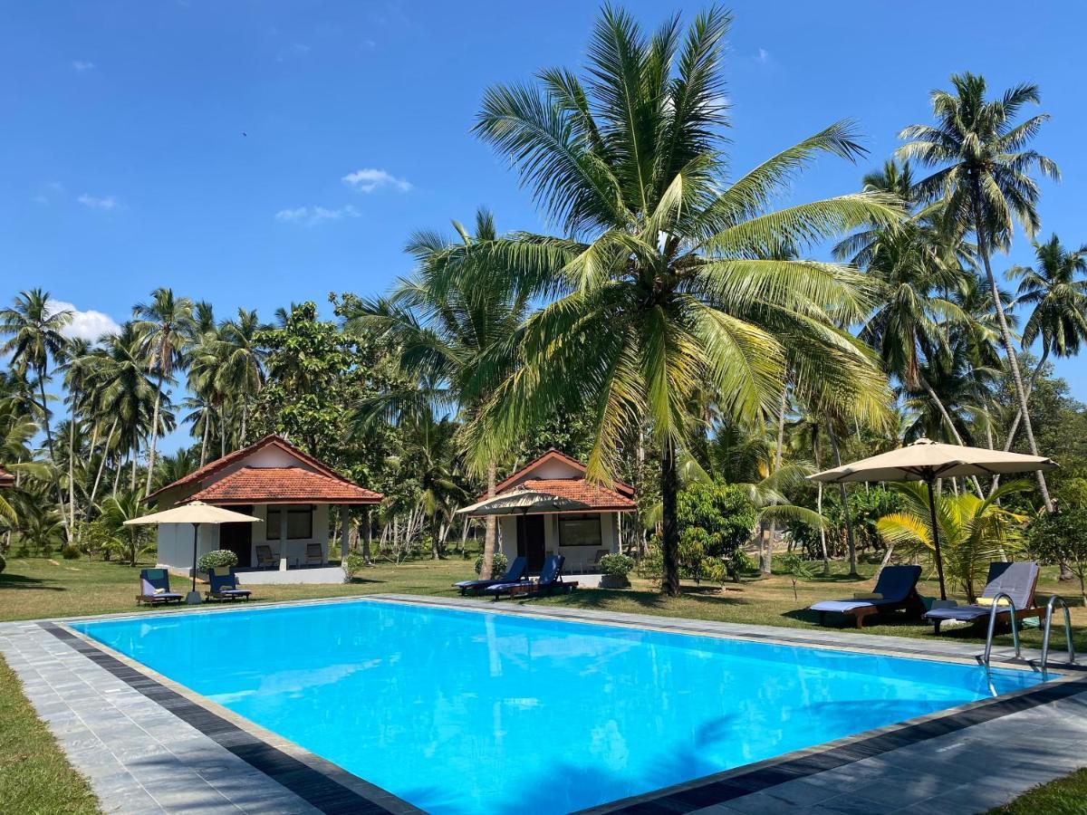 Ambarella Lodge - Katunayake Hunumulla Exterior photo