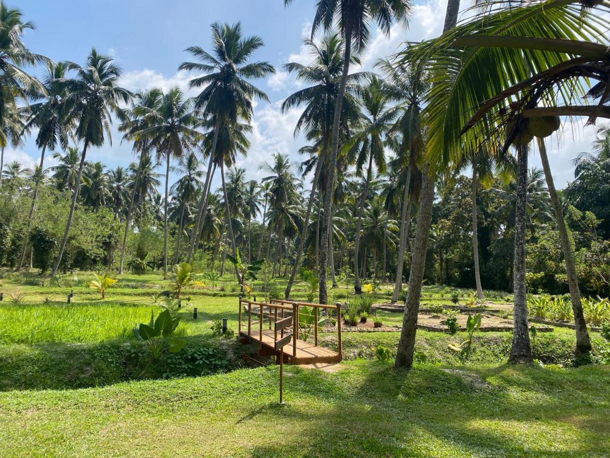 Ambarella Lodge - Katunayake Hunumulla Exterior photo