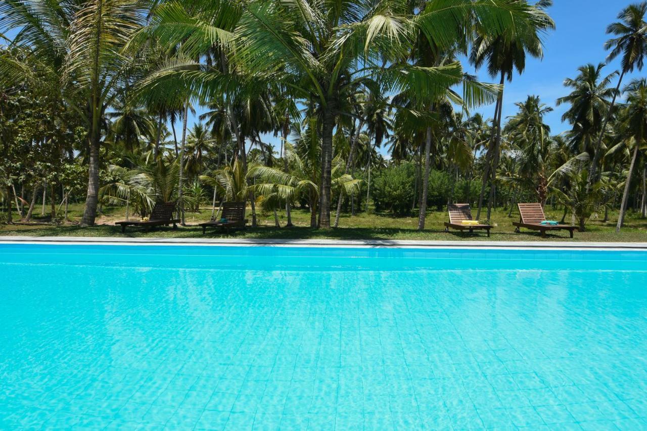 Ambarella Lodge - Katunayake Hunumulla Exterior photo