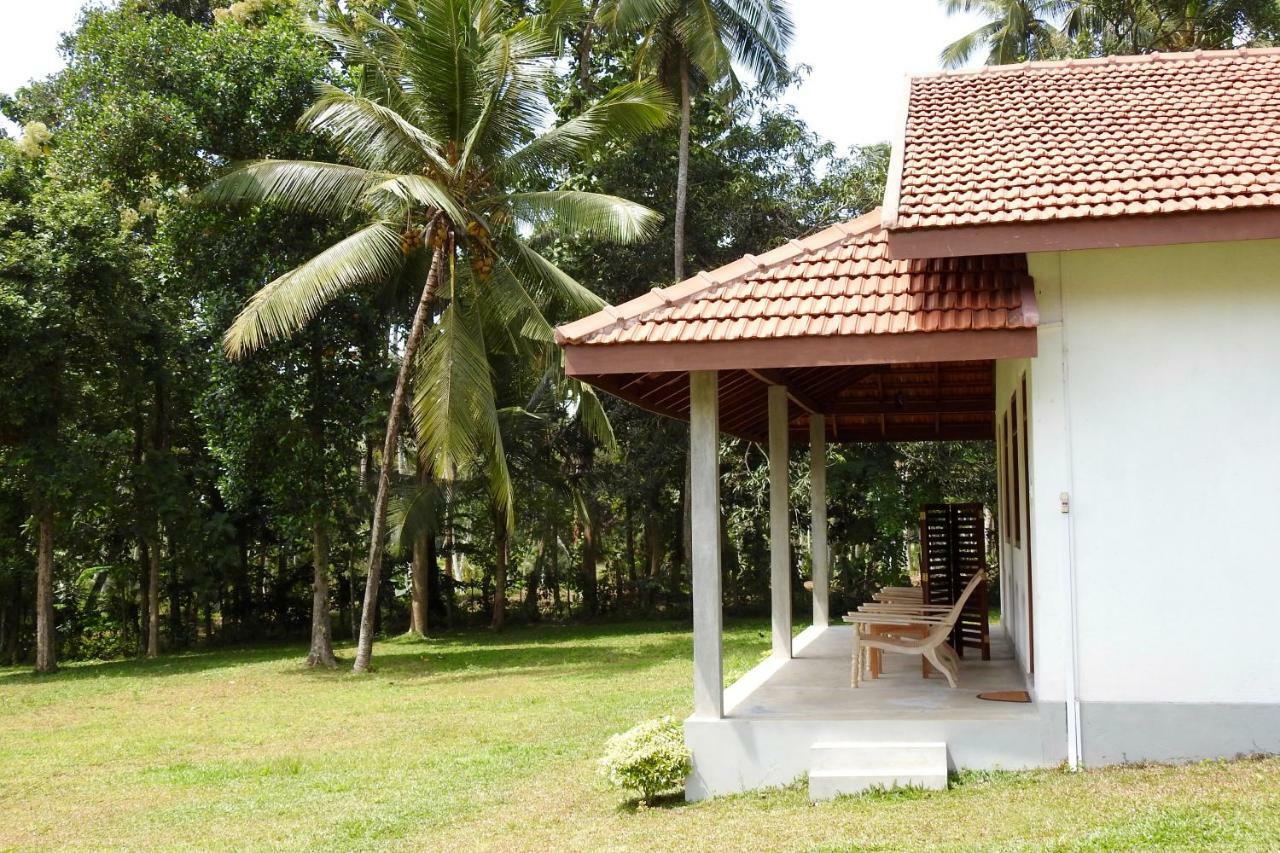 Ambarella Lodge - Katunayake Hunumulla Exterior photo