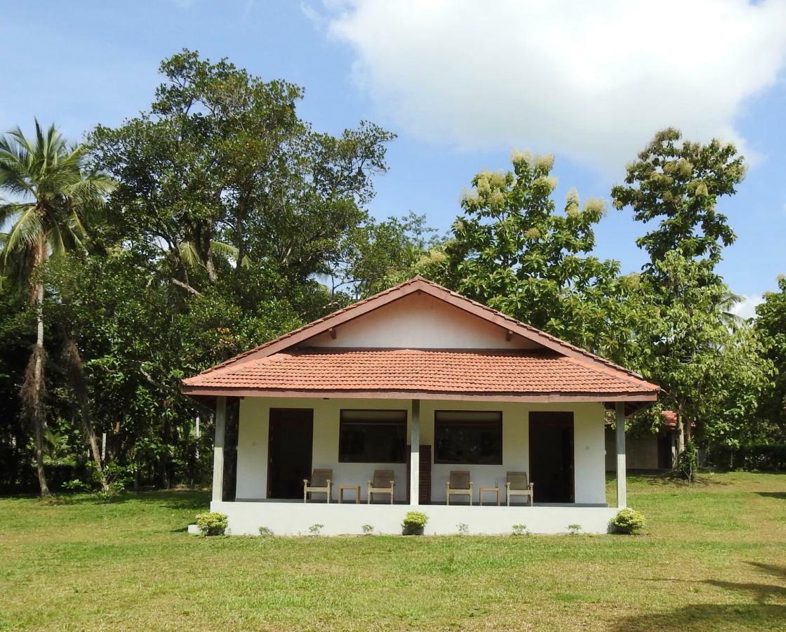 Ambarella Lodge - Katunayake Hunumulla Exterior photo